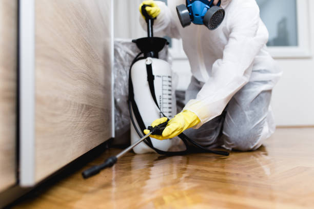 Best Affordable Pest Control Services  in Wales, WI