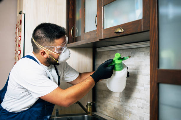 Best Emergency Pest Control  in Wales, WI