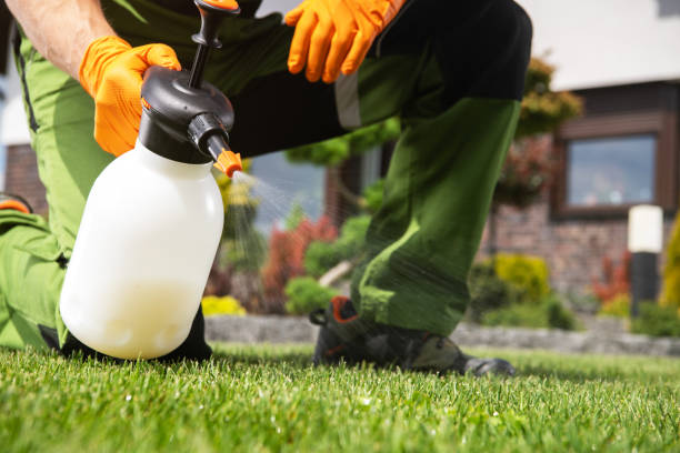 Best Exterminator Services  in Wales, WI