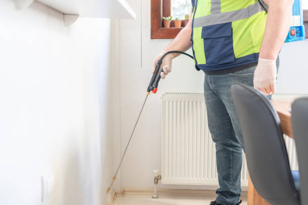 Best Ant Control Services  in Wales, WI