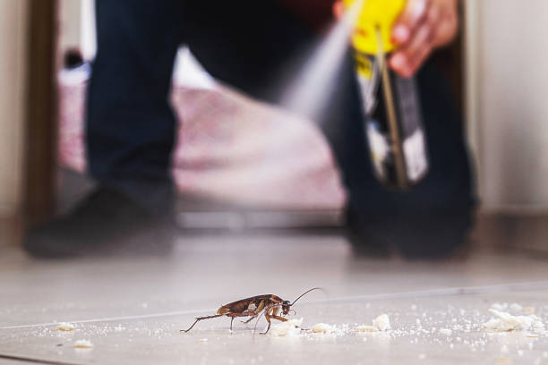 Best Pest Removal Services  in Wales, WI