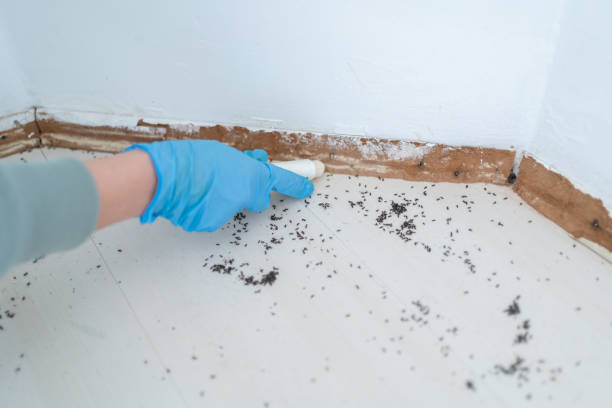 Best Best Pest Control Companies  in Wales, WI
